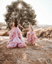 Load image into Gallery viewer, Aurora gown HIRE (Pink) Local pickup only
